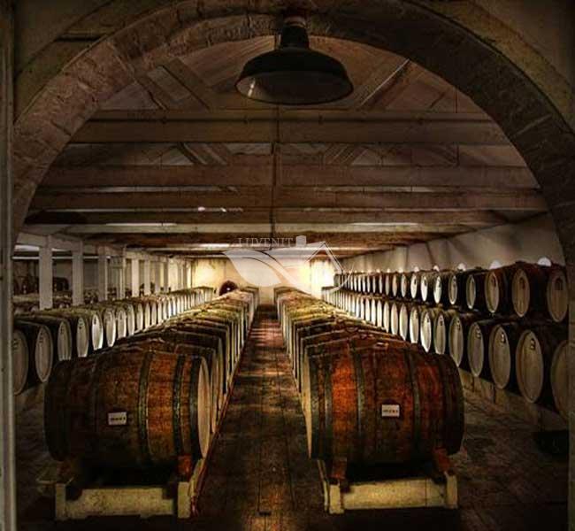 Winery and Cellar Door cleaning