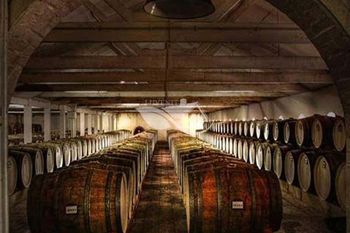 Winery and Cellar Door cleaning